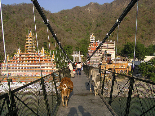 Rishikesh, le pont de Lakshman Jula